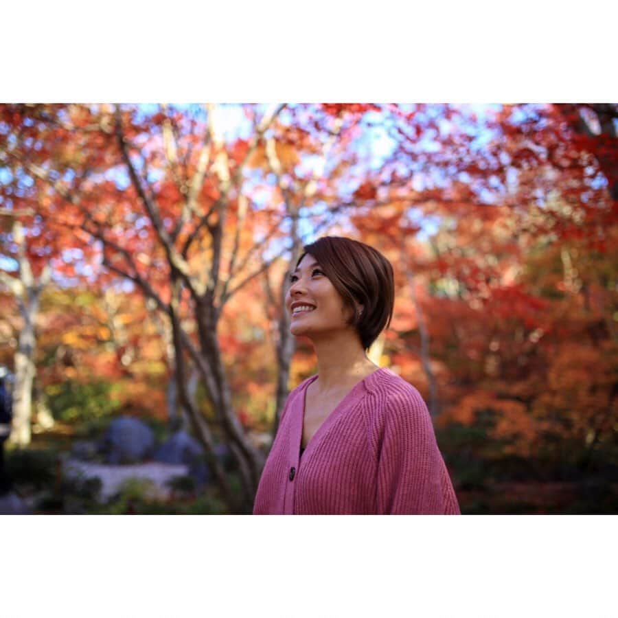 西谷綾子のインスタグラム：「✴︎ いつぶりかな⁈🤔 夏以来っ⁈😳の土日休みーー☺️♡ ・ 思い立って💡 金曜日の23時半過ぎに #そうだ京都行こう ってコトで‥😂😂 行ってきましたー🚄🍁😆 ・ #京都 #紅葉 #敷き紅葉  #庭園 #四季 #癒し #自然 #風景」
