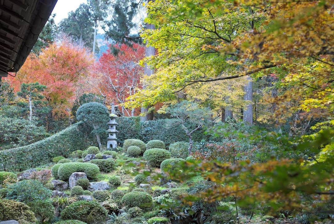 kiccyomuさんのインスタグラム写真 - (kiccyomuInstagram)「☁️ 2019.12.02 Mon 京都の #紅葉 🍁 今年は遅いと言われていたので… #大原 の #三千院 へ 綺麗過ぎ…ここは外せませんネ〜☺️ * 今日も元気に🤗 * location #京都 撮影 11月22日」12月2日 7時57分 - kiccyomu