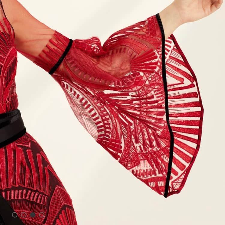 のインスタグラム：「Lipstick red evening dress … This says it all! #eveningdresses #embroiderydresses」
