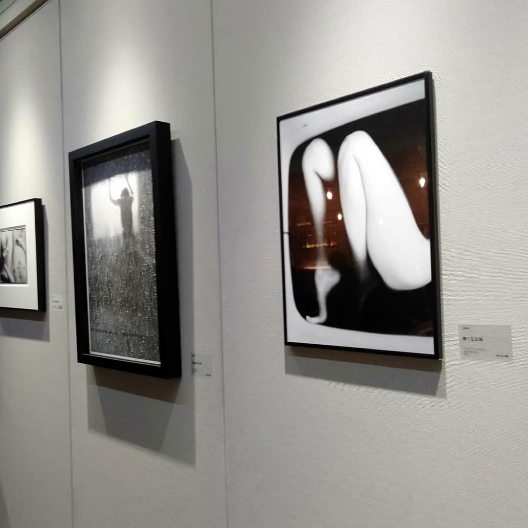 大塚咲さんのインスタグラム写真 - (大塚咲Instagram)「清アートギャラリーの移転リニューアルパーティ行ってきました😉✨ 12/8までギャラリーでは20名程の作家の作品が展示されます。  カフェバーも併設されてます。是非！  @kiyoshi.art.space」12月2日 9時02分 - otsukasaki_