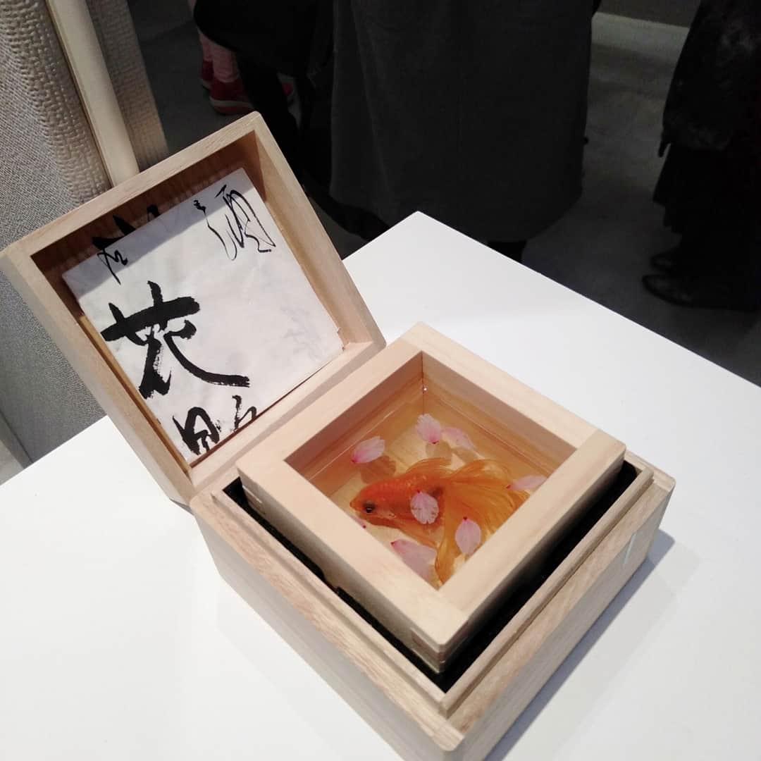 大塚咲さんのインスタグラム写真 - (大塚咲Instagram)「清アートギャラリーの移転リニューアルパーティ行ってきました😉✨ 12/8までギャラリーでは20名程の作家の作品が展示されます。  カフェバーも併設されてます。是非！  @kiyoshi.art.space」12月2日 9時02分 - otsukasaki_
