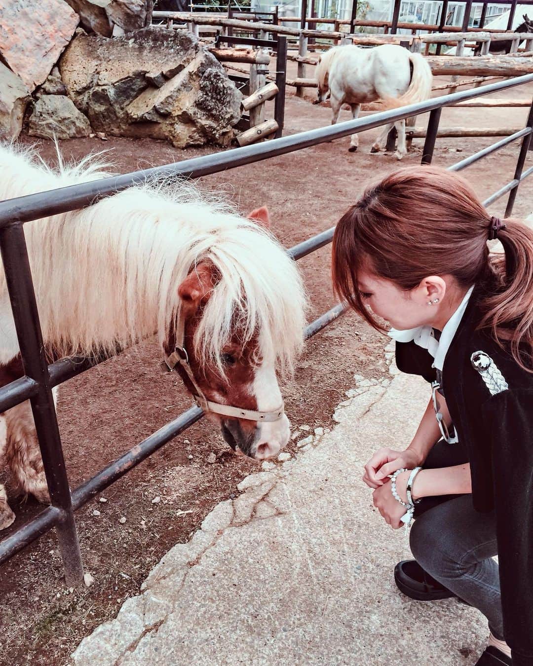 大矢真夕さんのインスタグラム写真 - (大矢真夕Instagram)「Hi( ੭ ˙꒳​˙ )੭♡ How are you doing 🐴 . . シャボテン動物公園のポニーさん。 ここは普通の動物園みたいに 動物の種類ごとに分かれていなくて 色んな動物が意外な組み合わせで 一つのスペースにいたりするよ😊 . . . #global #daytrip #travelphotography #travelawesome  #🇯🇵 #horse #pony #タビジョ #wonderful_places #theglobewanderer #dametraveler #旅行 #旅 #ファインダー越しの世界 #旅好き #traveldeeper #letsgoeverywhere  #instamood #日常 #写真部 #写真好き #写真で伝えたい私の世界 #cooljapan #インスタグラマー #instagramjapan #photo_japan #photo_jpn  #igersjp #シャボテン公園 #日帰り旅行」12月2日 9時10分 - mayuohya
