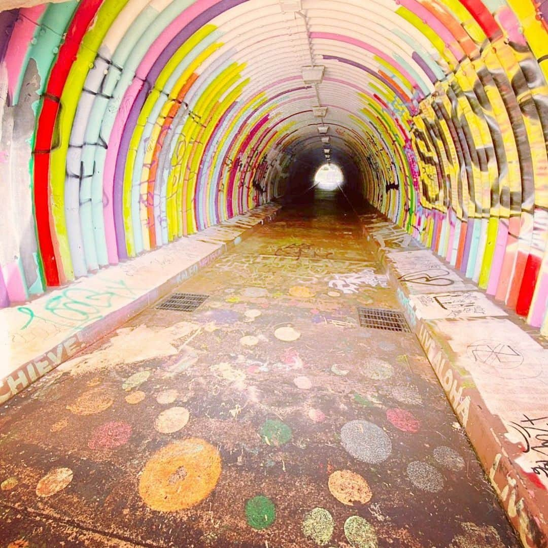 Hundred Dreamsさんのインスタグラム写真 - (Hundred DreamsInstagram)「レインボートンネル🌈  #rainbowtunnel #rainbow #hawaii #hawaii2019 #hawaiian #hawaiianday #hawaiilife #hawaiilove #レインボートンネル#ハワイ  #ハワイ2019 #ハワイ観光 #ハワイ最高  #オアフ島 #ホノルル #ワイキキ」12月2日 9時27分 - hundred_dreams