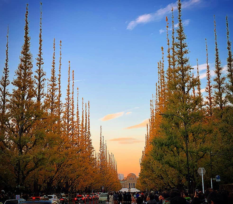 日下裕江さんのインスタグラム写真 - (日下裕江Instagram)「今年も神宮外苑銀杏並木がとっても綺麗だった🍁  1番ピークの時に行っちゃったから人の多さやばかったけど…  今年も見れて良かった💓  #神宮外苑銀杏並木　#神宮外苑いちょう並木 #紅葉 #秋　#autumnleaves #autumn #tokyo #japan」12月2日 10時33分 - hiroe___h