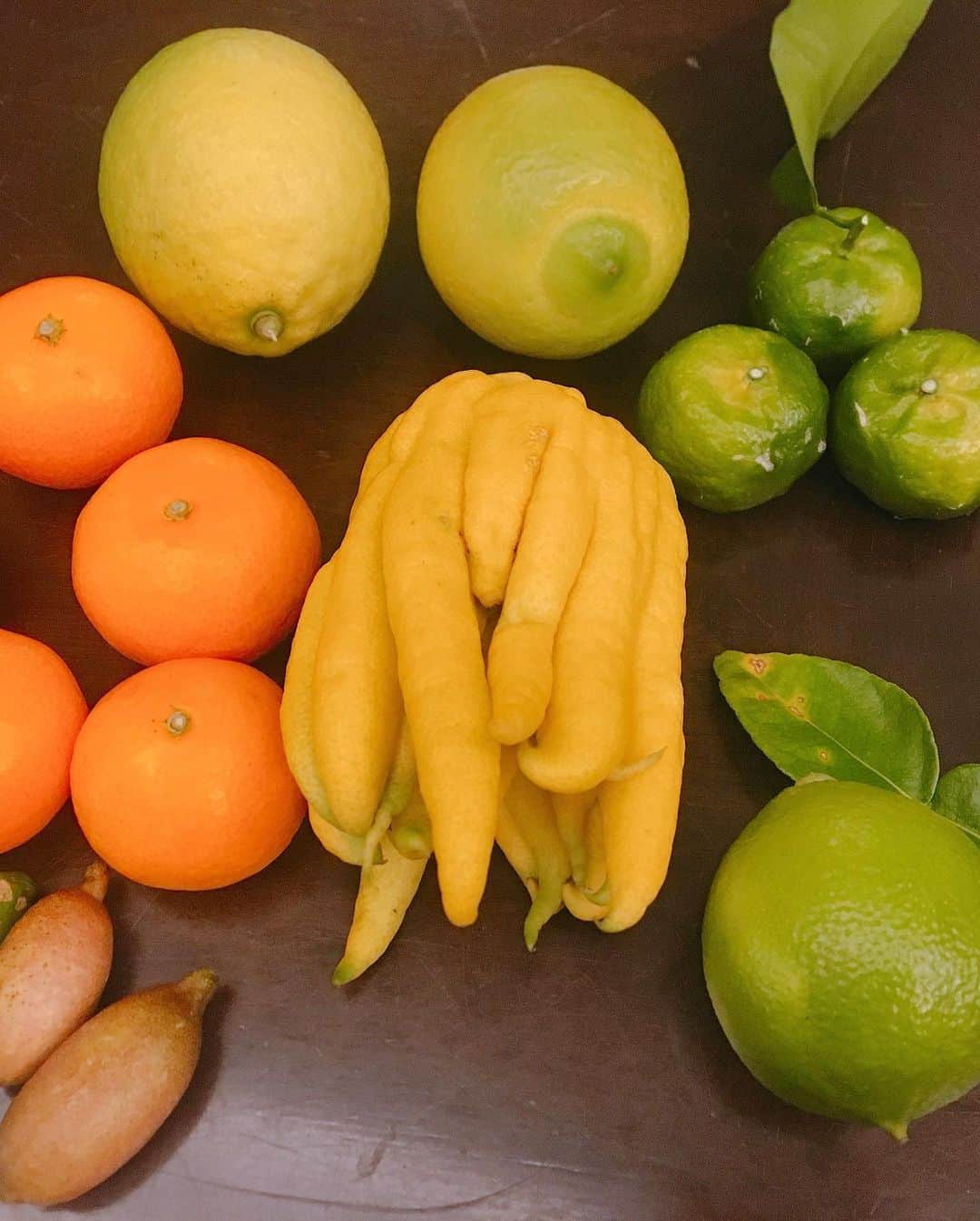 佐藤千晶さんのインスタグラム写真 - (佐藤千晶Instagram)「シトラス（柑橘類）の魔術師と呼ばれている原農園の原拓生さん。 60種類以上の柑橘類を育てていらっしゃいます✨  フィンガーライム、ブッシュカン、コブミカンの葉…いろいろな品種を教えていただきました😊  #走れ歌謡曲 では珍しい人気の品種を、 #GOODDAY では、野菜ソムリエのコーナーで今回はみかんをピックアップ！栄養や美味しいみかんの見分け方を含め紹介しているので、ぜひ聴いてみてくだされ🍊  #原農園　#原拓生　さん　 #シトラスの魔術師 #和歌山県田辺市 #フィンガーライム #ブッシュカン #コブミカンの葉 #いい香り #柑橘類 #野菜ソムリエ #ベジフルビューティアドバイザー #佐藤千晶 #来週は何をピックアップしようかな #美容健康情報お届けしてます」12月2日 10時40分 - satochiaki125