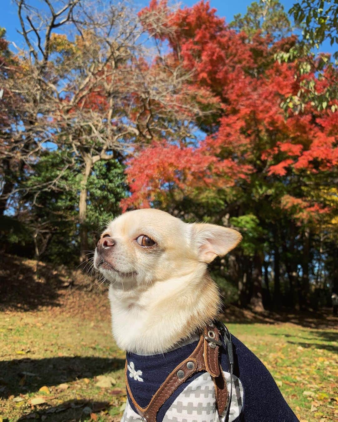 巴田みず希のインスタグラム