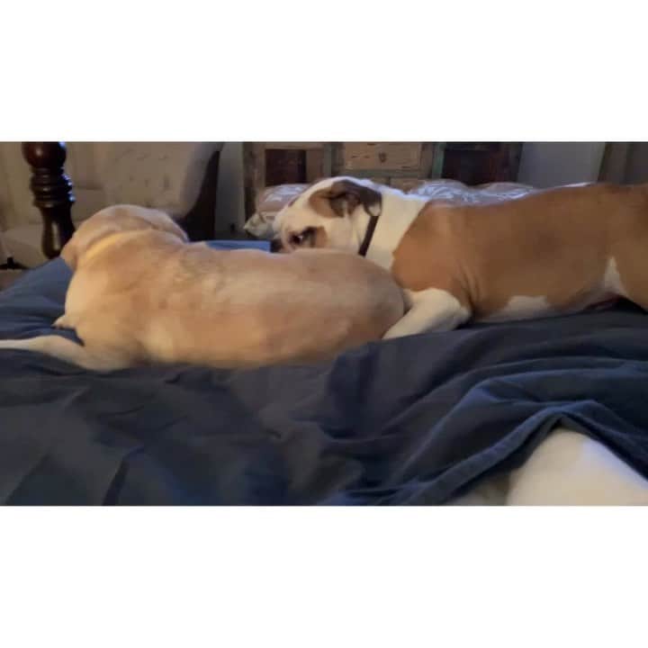 ナタリア・コルドバ・バックリーのインスタグラム：「she’s not having it. sound on. 😂♥️」