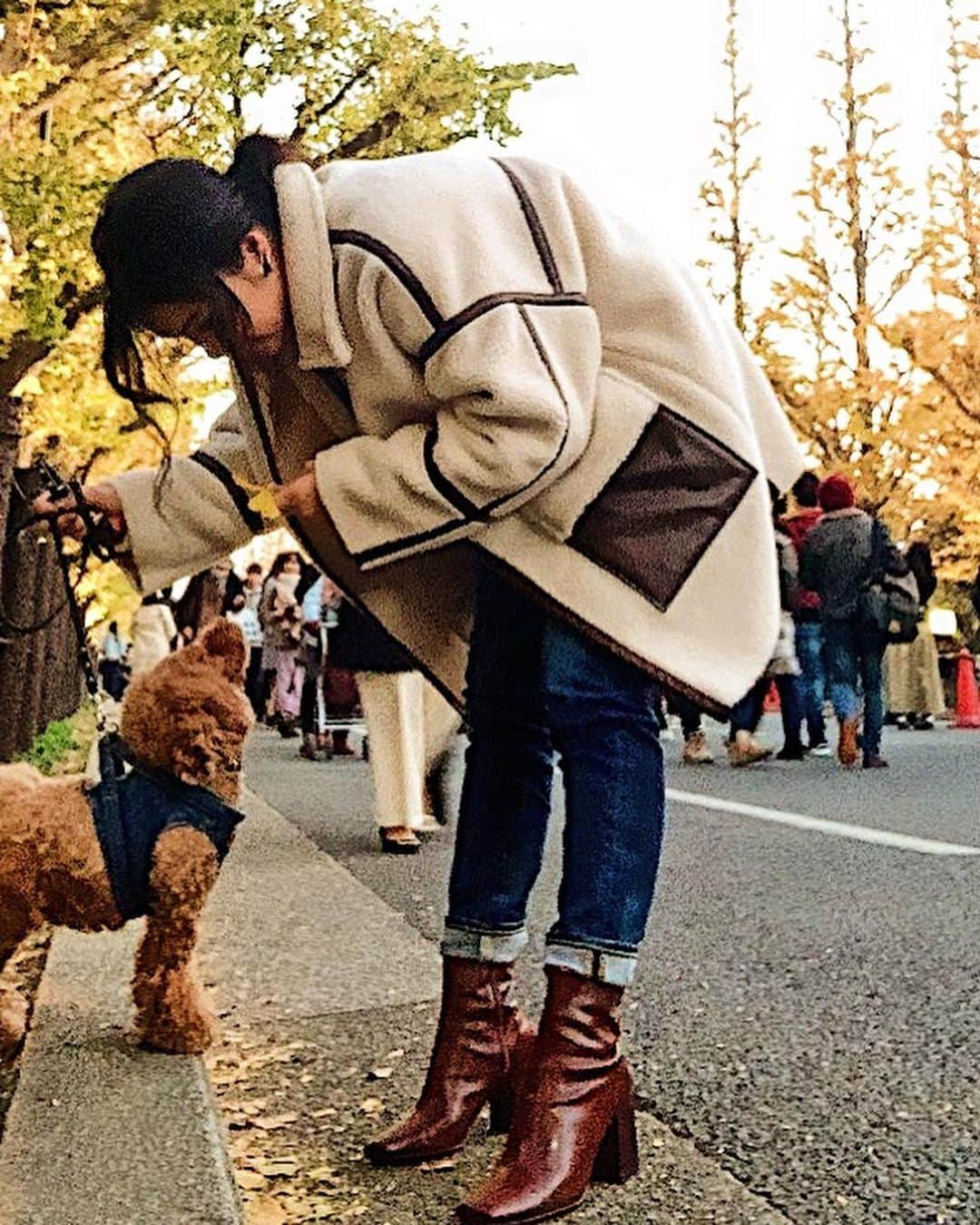 日下裕江さんのインスタグラム写真 - (日下裕江Instagram)「今年もロルたんと紅葉見に来たよ🍁  気候も良いし、紅葉綺麗だし、 大好きな人が沢山いてみんなが可愛いってなでなでしてくれるから楽しかったネ💓  楽しいお散歩だったね🐶✨ #紅葉散歩　#紅葉デート　#犬の散歩　#紅葉 #神宮外苑銀杏並木 #神宮外苑いちょう並木 #autumnleaves #autumn #leaves #tokyo #japan #ootd #outfit #outfitoftheday #ボアコート #ant #denim #redcard @ant__official @redcardtokyo」12月2日 10時58分 - hiroe___h