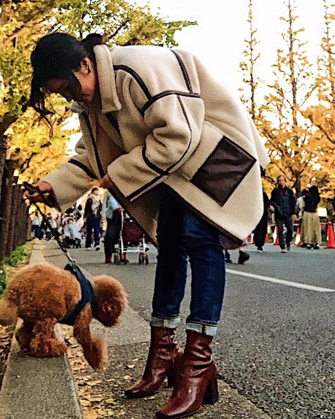 日下裕江さんのインスタグラム写真 - (日下裕江Instagram)「今年もロルたんと紅葉見に来たよ🍁  気候も良いし、紅葉綺麗だし、 大好きな人が沢山いてみんなが可愛いってなでなでしてくれるから楽しかったネ💓  楽しいお散歩だったね🐶✨ #紅葉散歩　#紅葉デート　#犬の散歩　#紅葉 #神宮外苑銀杏並木 #神宮外苑いちょう並木 #autumnleaves #autumn #leaves #tokyo #japan #ootd #outfit #outfitoftheday #ボアコート #ant #denim #redcard @ant__official @redcardtokyo」12月2日 10時58分 - hiroe___h