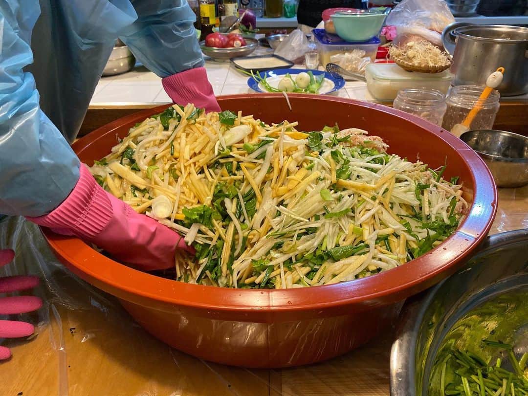 のインスタグラム：「１つ前の投稿からの続き… ＿＿＿＿＿＿＿＿＿＿ ・ ・ ・りんご、梨、青菜、瓜、（食感が残るよう細切り） ・すりおろした大量の生姜、ニンニク ・だし（昆布、たら、玉ねぎ、ネギの根っこ…滋養に良さそうな薬膳もたくさん…） ・アミエビ ・魚醤 ・粉唐辛子 ・砂糖 ・ ・ ◎外から内側にかき混ぜるように、 大量の具材を合わせてゆく ・ ◎味見をしながらアミエビや魚醤で塩を加減する。 ・ ◎粉唐辛子を投入すると水分を吸っていくので、白菜が綺麗な赤に色付く"美味しそうな赤"になるまで入れてゆく ・ ◎果物の甘さでも足りない場合は1番最後に砂糖を加え、味を整える ・ ・ ・ #キムチ漬け備忘録 #masakiとゆくキムチ漬けの旅」
