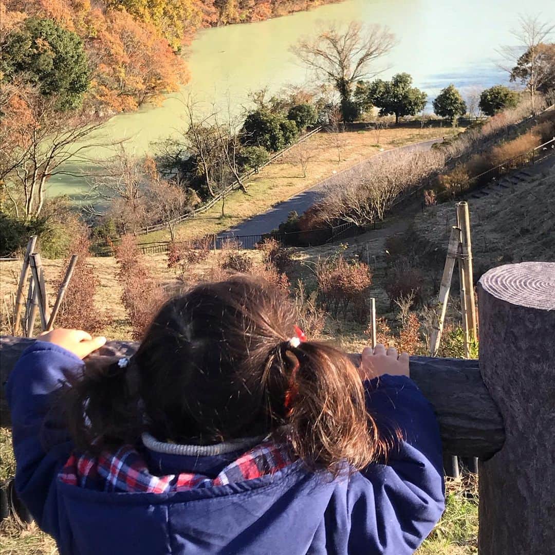 小林亜里紗さんのインスタグラム写真 - (小林亜里紗Instagram)「先週末、紅葉を見に🍁  #宮ヶ瀬湖  #宮ヶ瀬ダム  #紅葉  お天気よくて気持ちよかったなぁ♪」12月2日 12時07分 - teketekearinko
