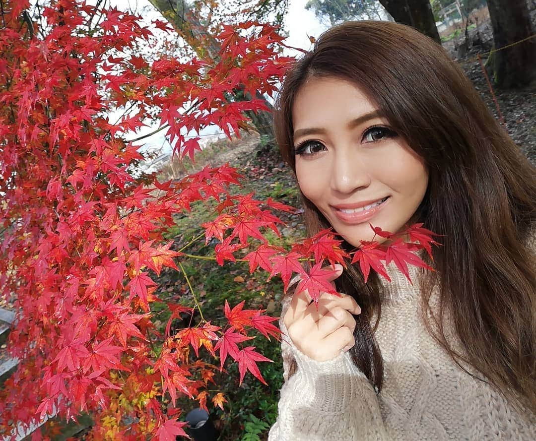 REIKAさんのインスタグラム写真 - (REIKAInstagram)「. 京都にて紅葉🍁撮影中📷✨ たまに晴れ間も見えてよいのが撮れてます❤ . . #bikinicompetitor #fitnessmodel #shooting #撮影 #フィットネスモデル #筋トレ女子 #筋トレ #トレーニング #筋肉女子 #フィットネス女子 #腹筋女子 #高身長女子 #bikini #ビキニ #筋肉  #training #wildfit #みどりきゅうしゅう #DEPITAN #TANPAKUN #shinefitnessgirls #qol #futurebodygym #fbg #LAVIA #laviasports #紅葉 #京都 #kyoto」12月2日 12時36分 - reika_japan