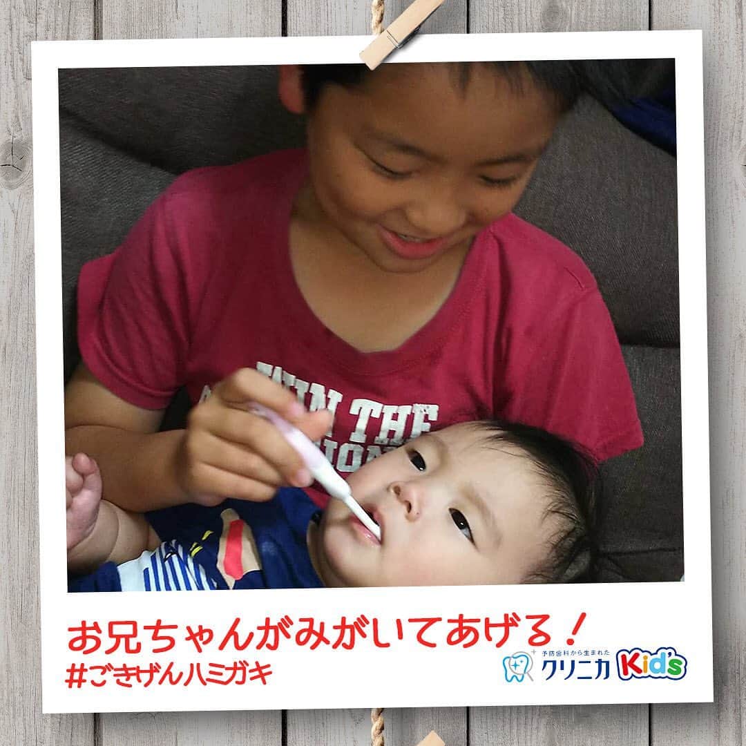 クリニカではじめよう予防歯科のインスタグラム：「今日の#ごきげんハミガキ♪﻿ ﻿ 皆さんこんにちは♪﻿ 今日は @riiiiia_1010 さんの#ごきげんハミガキ です！﻿ ﻿ 7ヵ月の弟がかわいくて仕方がないお兄ちゃん👦🏻﻿ 生えたばかりの歯をみがいてあげようと、ハブラシを手に、弟くんの歯みがきスタート！﻿ まだ慣れない歯みがきに、弟くんはされるがまま……👶🏻﻿ きゅっと握りしめた手がとてもかわいい、ほほえましい光景です☺﻿ ﻿ 今はハブラシに戸惑う弟くんだけれど、面倒見の良いお兄ちゃんのおかげで歯みがきが好きになるかな💓﻿ ﻿ ----------------------﻿ #ごきげんハミガキ の投稿を募集中！﻿ クリニカKid’s公式アカウントでご紹介させていただきます♪﻿ ----------------------﻿ #クリニカ #クリニカキッズ #歯磨き #歯みがき #はみがき #ハミガキ #歯みがきタイム #歯磨き中 #育児 #育児日記 #育児記録 #子育て #子育て記録 #こども #兄弟 #仲良しきょうだい #子供の成長 #成長記録 #成長 #ママライフ #親バカ部 #親バカ日記 #子供のいる暮らし #ママカメラ #こんにち歯 #歯みがきデビュー」