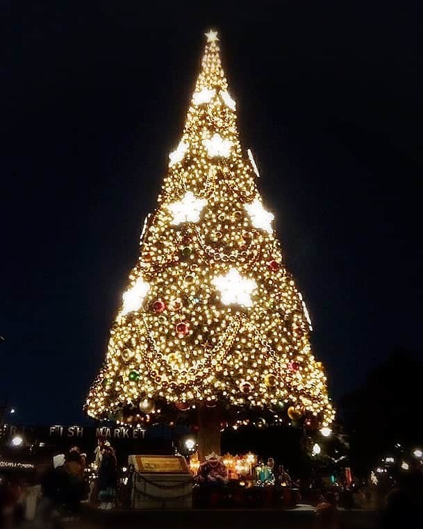 中田有紀さんのインスタグラム写真 - (中田有紀Instagram)「12月に入りましたね😊 どこもかしこもクリスマス✨🎄✨ #クリスマスツリー #tokyodisneysea」12月2日 13時05分 - akinakada0508