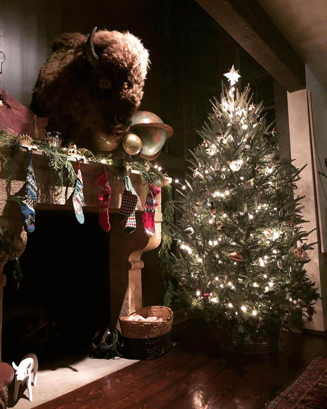 ミシェル・ブランチのインスタグラム：「All is calm, all is bright 🎄✨」