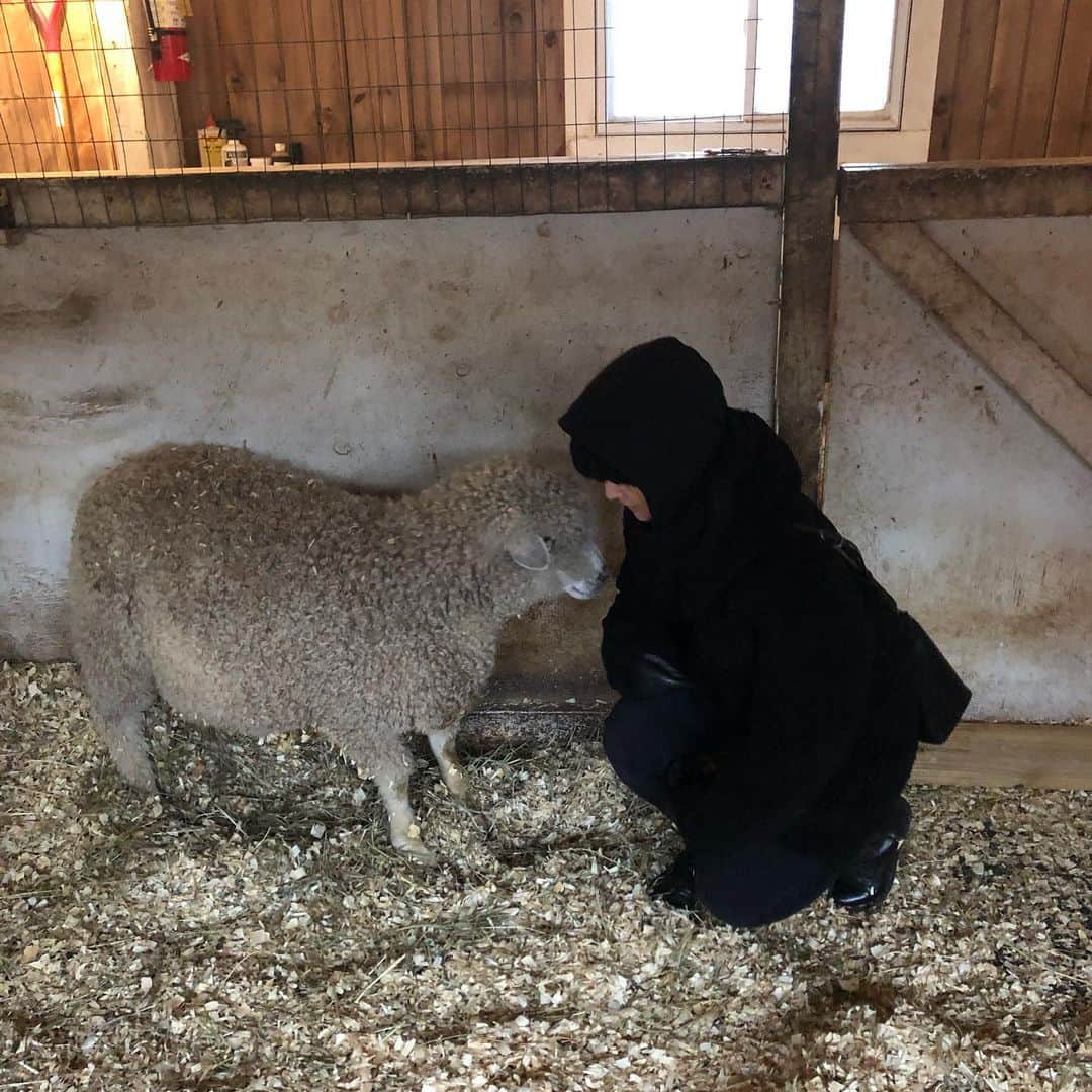 ミーナ・スヴァーリさんのインスタグラム写真 - (ミーナ・スヴァーリInstagram)「I cannot gush enough about this absolutely magical place!!! @lancasterfarmsanctuary is truly a little piece of #heaven. I am so grateful to have been able to visit all of these amazing women and the precious animals they look after. I truly had one of the best times of my life. Getting to make new friends and to also celebrate in the magnificent thing that is life. So many of these babies JUST made it. They were destined for slaughter or simply left to the side to die, because they weren’t “good enough”. No loving thing deserves such callous inconsideration. If you’re in the area in #Pennsylvania, I encourage you to make your life better by visiting this glorious sanctuary. And if you can’t make it, tomorrow is #GivingTuesday and you can show your love for them that way!  Sending you all magical blessings today and I’ll post more photos and videos in my story! ✨✨✨✨✨✨✨✨✨✨✨✨✨✨✨✨✨✨✨ #MagicalMonday #MondayMotivation #MercyMonday」12月3日 0時34分 - menasuvari