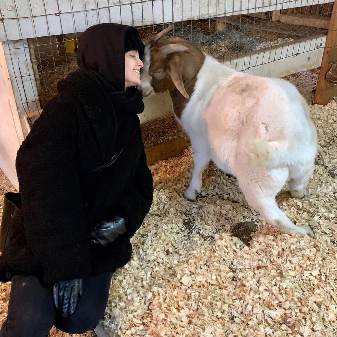 ミーナ・スヴァーリさんのインスタグラム写真 - (ミーナ・スヴァーリInstagram)「I cannot gush enough about this absolutely magical place!!! @lancasterfarmsanctuary is truly a little piece of #heaven. I am so grateful to have been able to visit all of these amazing women and the precious animals they look after. I truly had one of the best times of my life. Getting to make new friends and to also celebrate in the magnificent thing that is life. So many of these babies JUST made it. They were destined for slaughter or simply left to the side to die, because they weren’t “good enough”. No loving thing deserves such callous inconsideration. If you’re in the area in #Pennsylvania, I encourage you to make your life better by visiting this glorious sanctuary. And if you can’t make it, tomorrow is #GivingTuesday and you can show your love for them that way!  Sending you all magical blessings today and I’ll post more photos and videos in my story! ✨✨✨✨✨✨✨✨✨✨✨✨✨✨✨✨✨✨✨ #MagicalMonday #MondayMotivation #MercyMonday」12月3日 0時34分 - menasuvari