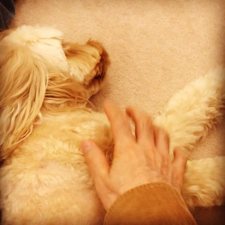 北山陽一のインスタグラム：「ただいまー！  #きたやまおかき」