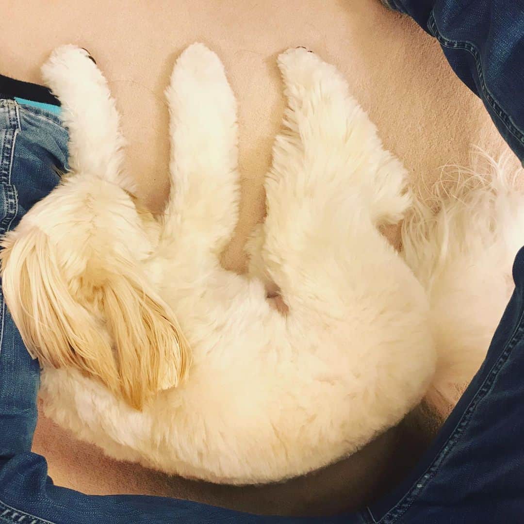 北山陽一のインスタグラム：「からの #きたやまおもち」