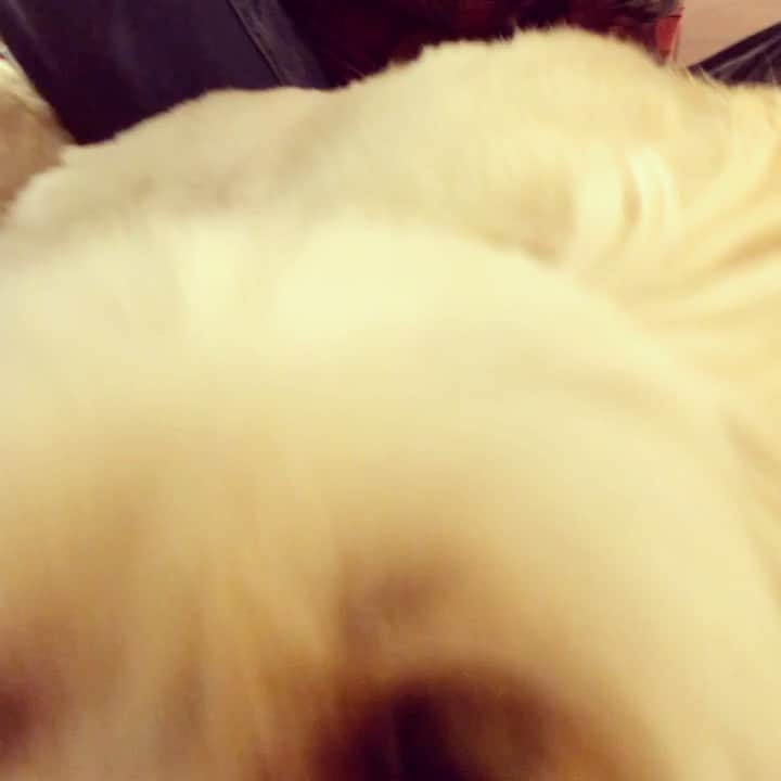 北山陽一のインスタグラム：「自撮りしようとするとこの顔である。#きたやまおもち」