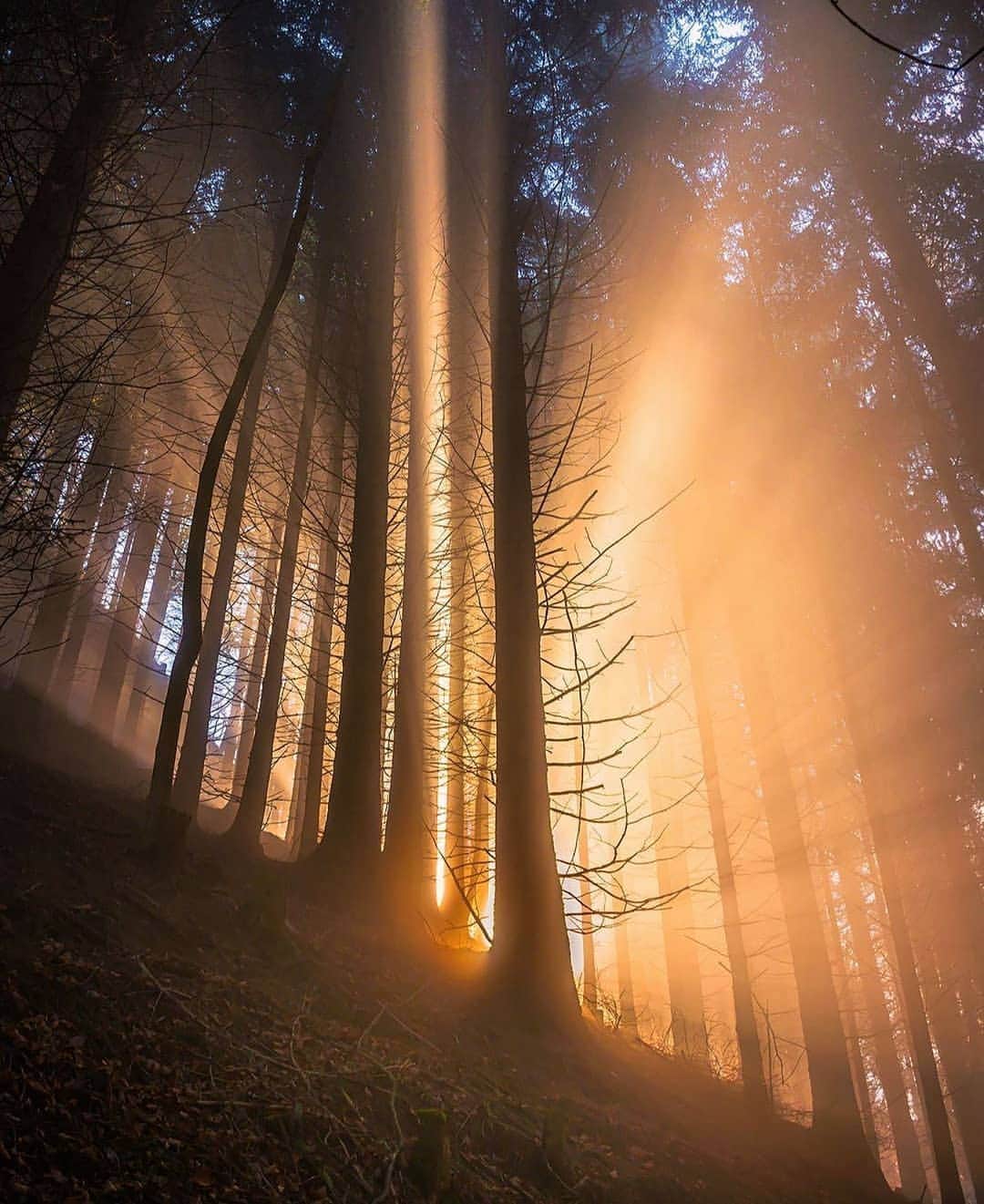 wonderful natureのインスタグラム：「Photo by @marcelschiegg check out his feed for more」