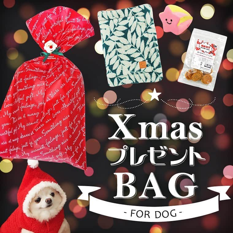 iDog&iCatさんのインスタグラム写真 - (iDog&iCatInstagram)「❄️ 12月に入り、周りもクリスマスモードに本格的になってきました🎄 ・ さて、ワンちゃんへのクリスマスプレゼントはご用意しましたか？ idogでは、クリスマスプレゼントBAGを販売中🎁 ・ クリスマス専用のラッピングでお届けします★ 単品でご購入いただくよりも、お得なお値段になっています🎉 ・ 数量限定ですので、お早めにチェックしてくださいね😆💕 （ストーリーからサイトに飛ぶことができます✈️） ・ #idogicat #idog #クリスマス #クリスマスセット #クリスマスプレゼント」12月2日 17時33分 - idogicat