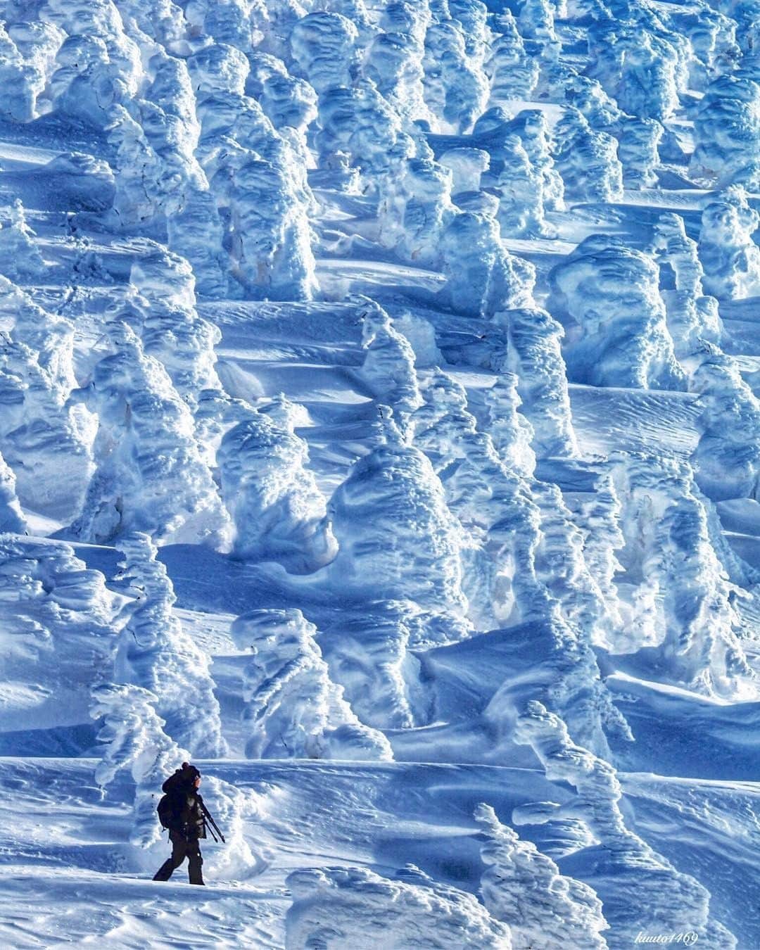 JALさんのインスタグラム写真 - (JALInstagram)「. Abominable Snowman? #DramaticDecember A lone figure treks across the Zao volcanic mountain range in winter✨  一度は見てみたい、スノーモンスター❄️ 12月下旬～3月上旬だけの冬の絶景です⛄️ . . photo by @kuuto1469 Post your memories with #FlyJAL  #JapanAirlines #japan #zao #snowmonster #winterwonderland」12月2日 17時29分 - japanairlines_jal