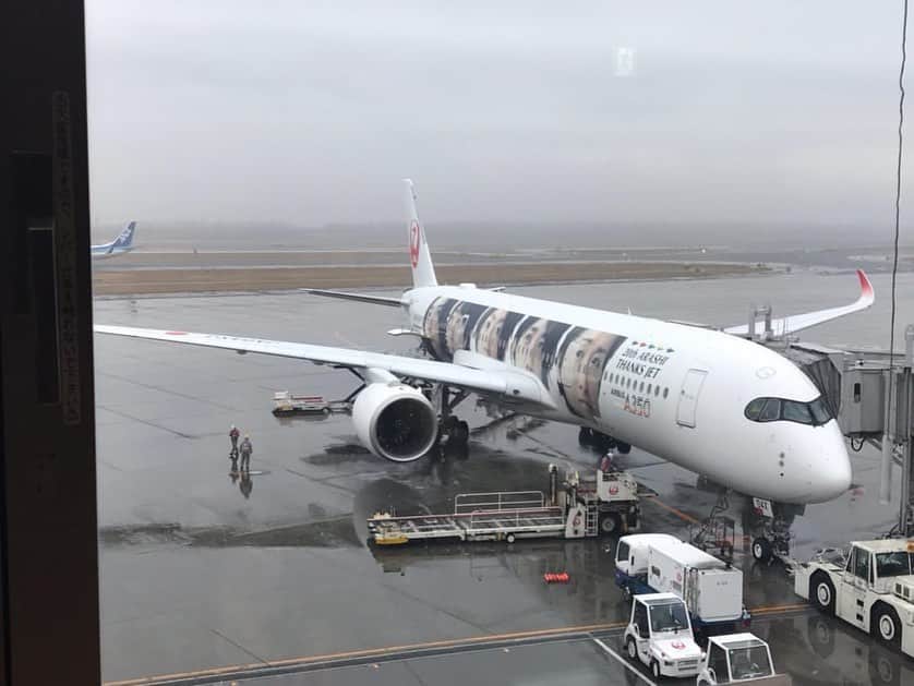 山本大希さんのインスタグラム写真 - (山本大希Instagram)「‪本日、この飛行機に搭乗しました！１枚目が現在の5人で２枚目が9年前の5人です。‬ ‪これから大急ぎで編集をして本日中に必ずYouTube動画アップします！‬ ‪#arashi #嵐 #嵐ジェット #嵐jet #a350 #jal #japanairlines #日本航空 #20thanniversary #20tharashithanksjet #arashi20thanniversary」12月2日 17時39分 - youtuber_yamamoto