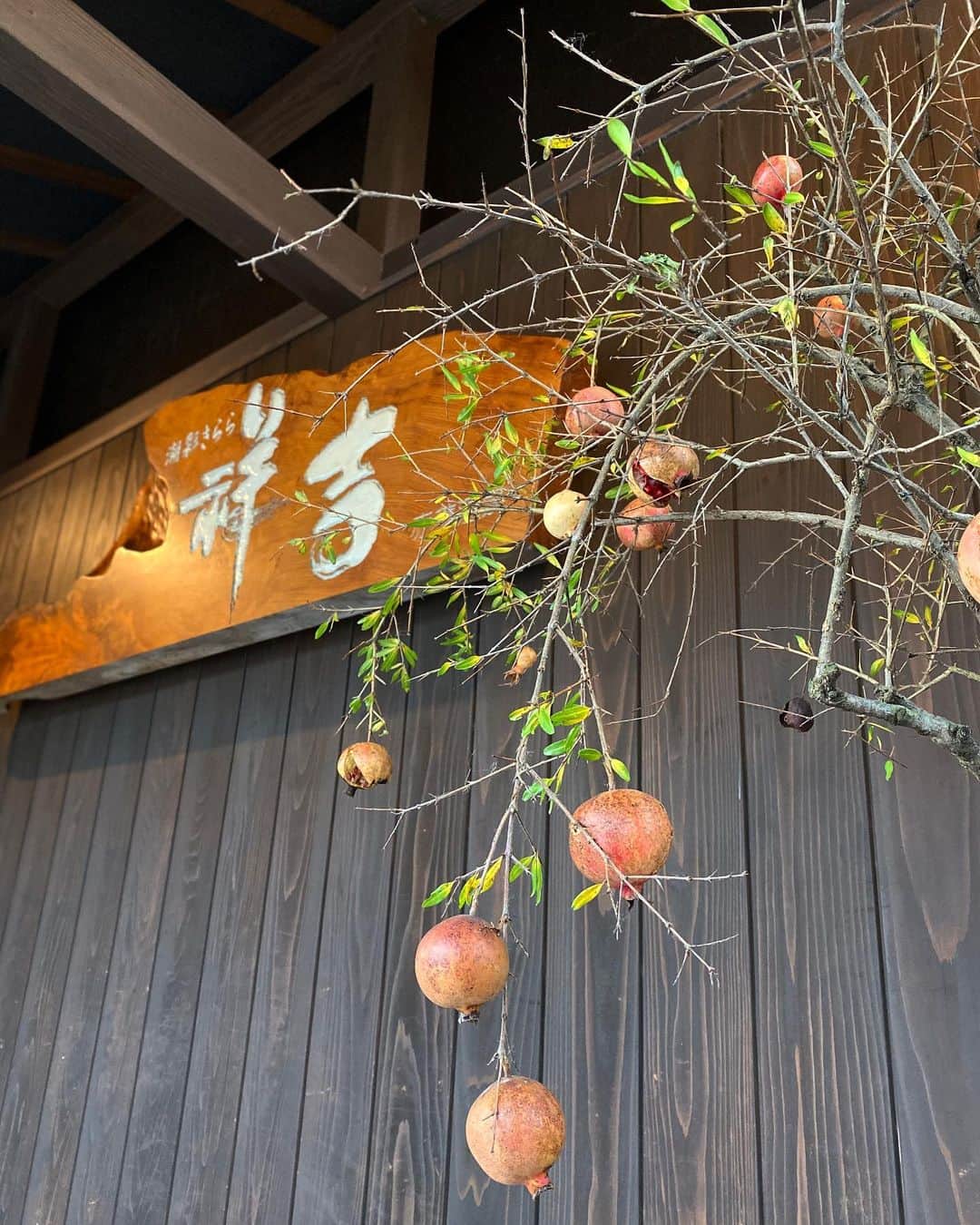 祥吉のグルメインスタ