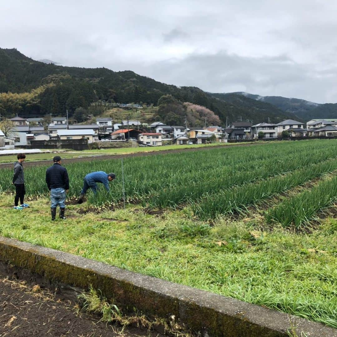 松本翔さんのインスタグラム写真 - (松本翔Instagram)「一次産業者との出会い﻿👨‍🌾 ﻿ ﻿ 高知県本山町で無農薬の野菜を生産する山下農園さん。﻿ 都内にも出荷するオーガニックの先駆けの方々たち👨‍🌾﻿ ﻿ 実は4月にとあるきっかけから、山下農園で採れる野菜を加工し、 野菜パウダーや、この塩、更には、キャロットティーなど、﻿ 野菜を凝縮させた、山下農園の加工品部、「babyfarm」🥕 その方々とお話しする機会から始まりました。﻿ ﻿ 特に野菜パウダーはどんな料理にも混ぜて使え、﻿ 良い意味で野菜のクセがなく、料理を生かし、﻿ 離乳食にも使える万能かつアスリート仕様にも👍﻿ ﻿ それを機に4月に直接畑を見学させてもらい、﻿ イベントや出店の際に顔出させていただきました🍆﻿ 皆さんの見た目は正直強面風ですが🤭笑 ﻿ 話せばわかります。﻿ 毎日毎日野菜作ってるんだからめちゃくちゃ温かい☺️﻿ いつも、試合も気にしてくれていました！﻿ ﻿ ⁑﻿ ﻿ 一次産業の方とアスリートが直接繋がれる形。﻿ 食材と選手がダイレクトに繋がることで、﻿ 生産者達が作った野菜の行方が選手の力になることが、﻿ より分かりやすく、見える形でもあるのかなと⚽️﻿ ﻿ JFL上がればよりコラボや新しいことも出来る。﻿ そう最初に話して、とにかく必ず上がりたかった。﻿ だからこそ、高知の持つ食の素晴らしさを、﻿ あらゆる形でも、もっともっと広めていきたい🏷﻿ ﻿ サッカーもサッカーだけで捉えたら利己的な思考になる。﻿ いかに利他的な思考で、その結果として、﻿ プラスαぐらいの感覚で自分のモノになればより強い。﻿ と、なんに対してもそう感じる27歳の冬。﻿ ﻿ #babyfarm #高知 #高知県 #本山町 #農家 #無農薬 #オーガニック #野菜 #野菜加工品 #野菜パウダー #高知グルメ」12月2日 18時00分 - matsumotosho444