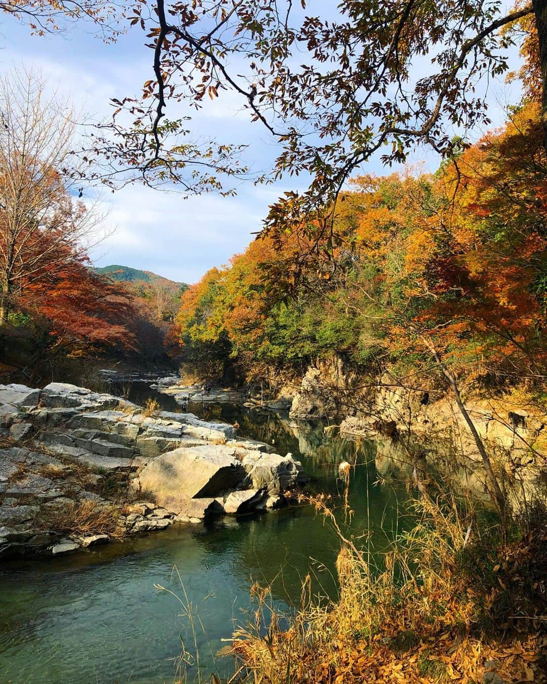 佐野千晃さんのインスタグラム写真 - (佐野千晃Instagram)「紅葉の時期にちゃんと紅葉を見に行ったのは初めてかも〜！﻿ ﻿ めちゃくちゃ綺麗🍁iPhone最強📱swipeして見て🍁﻿ ﻿ 自分の写真撮ってもらうよりも紅葉の写真撮るの必死なあたし←﻿ ﻿ あと1ヶ月で今年も終わりとか考えられない早過ぎるるるるるるるるる﻿ ﻿ そーしーてー！﻿ 先程ランスマの再再放送見てフォローしてくれた方々ありがとうございます！﻿ ﻿ フルマラソン芸能人最速女子を目指しております佐野千晃です！﻿ ﻿ ラン以外にも好きなもの投稿していきますのでこれからよろしくお願いいたします🥺﻿ ﻿ ストーリー更新率高めですがうざがらないでね🥺←﻿ ﻿ #natural #healthy #good #gilrs #gilr #cool #cute #ooted #selfie #self #face #スポーツ女子 #スポーツ #ハワイ #笑顔 #ひまわり #佐野千晃 #紅葉 #綺麗 #ランスマ #ありがとう」12月2日 18時03分 - sanochiaki810