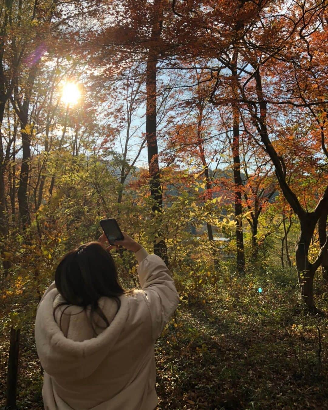 佐野千晃さんのインスタグラム写真 - (佐野千晃Instagram)「紅葉の時期にちゃんと紅葉を見に行ったのは初めてかも〜！﻿ ﻿ めちゃくちゃ綺麗🍁iPhone最強📱swipeして見て🍁﻿ ﻿ 自分の写真撮ってもらうよりも紅葉の写真撮るの必死なあたし←﻿ ﻿ あと1ヶ月で今年も終わりとか考えられない早過ぎるるるるるるるるる﻿ ﻿ そーしーてー！﻿ 先程ランスマの再再放送見てフォローしてくれた方々ありがとうございます！﻿ ﻿ フルマラソン芸能人最速女子を目指しております佐野千晃です！﻿ ﻿ ラン以外にも好きなもの投稿していきますのでこれからよろしくお願いいたします🥺﻿ ﻿ ストーリー更新率高めですがうざがらないでね🥺←﻿ ﻿ #natural #healthy #good #gilrs #gilr #cool #cute #ooted #selfie #self #face #スポーツ女子 #スポーツ #ハワイ #笑顔 #ひまわり #佐野千晃 #紅葉 #綺麗 #ランスマ #ありがとう」12月2日 18時03分 - sanochiaki810