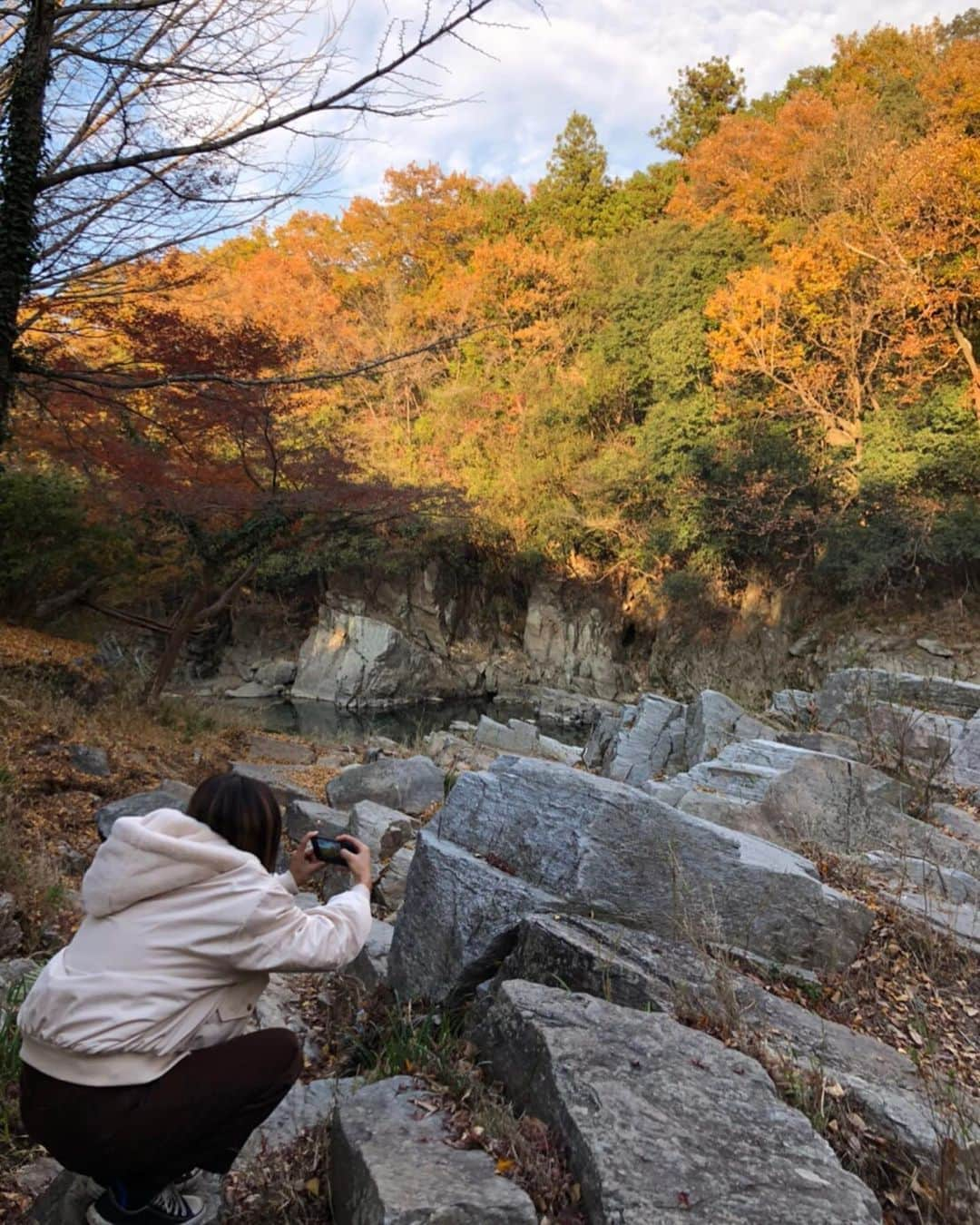 佐野千晃さんのインスタグラム写真 - (佐野千晃Instagram)「紅葉の時期にちゃんと紅葉を見に行ったのは初めてかも〜！﻿ ﻿ めちゃくちゃ綺麗🍁iPhone最強📱swipeして見て🍁﻿ ﻿ 自分の写真撮ってもらうよりも紅葉の写真撮るの必死なあたし←﻿ ﻿ あと1ヶ月で今年も終わりとか考えられない早過ぎるるるるるるるるる﻿ ﻿ そーしーてー！﻿ 先程ランスマの再再放送見てフォローしてくれた方々ありがとうございます！﻿ ﻿ フルマラソン芸能人最速女子を目指しております佐野千晃です！﻿ ﻿ ラン以外にも好きなもの投稿していきますのでこれからよろしくお願いいたします🥺﻿ ﻿ ストーリー更新率高めですがうざがらないでね🥺←﻿ ﻿ #natural #healthy #good #gilrs #gilr #cool #cute #ooted #selfie #self #face #スポーツ女子 #スポーツ #ハワイ #笑顔 #ひまわり #佐野千晃 #紅葉 #綺麗 #ランスマ #ありがとう」12月2日 18時03分 - sanochiaki810