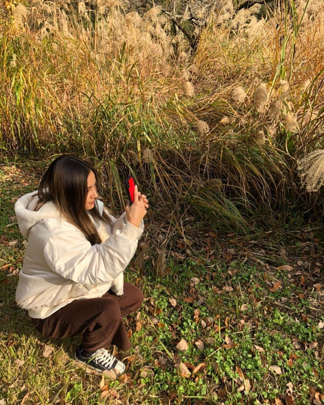 佐野千晃さんのインスタグラム写真 - (佐野千晃Instagram)「紅葉の時期にちゃんと紅葉を見に行ったのは初めてかも〜！﻿ ﻿ めちゃくちゃ綺麗🍁iPhone最強📱swipeして見て🍁﻿ ﻿ 自分の写真撮ってもらうよりも紅葉の写真撮るの必死なあたし←﻿ ﻿ あと1ヶ月で今年も終わりとか考えられない早過ぎるるるるるるるるる﻿ ﻿ そーしーてー！﻿ 先程ランスマの再再放送見てフォローしてくれた方々ありがとうございます！﻿ ﻿ フルマラソン芸能人最速女子を目指しております佐野千晃です！﻿ ﻿ ラン以外にも好きなもの投稿していきますのでこれからよろしくお願いいたします🥺﻿ ﻿ ストーリー更新率高めですがうざがらないでね🥺←﻿ ﻿ #natural #healthy #good #gilrs #gilr #cool #cute #ooted #selfie #self #face #スポーツ女子 #スポーツ #ハワイ #笑顔 #ひまわり #佐野千晃 #紅葉 #綺麗 #ランスマ #ありがとう」12月2日 18時03分 - sanochiaki810