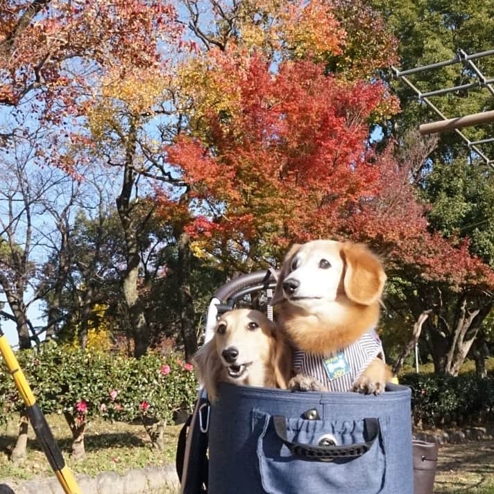 kazumiのインスタグラム