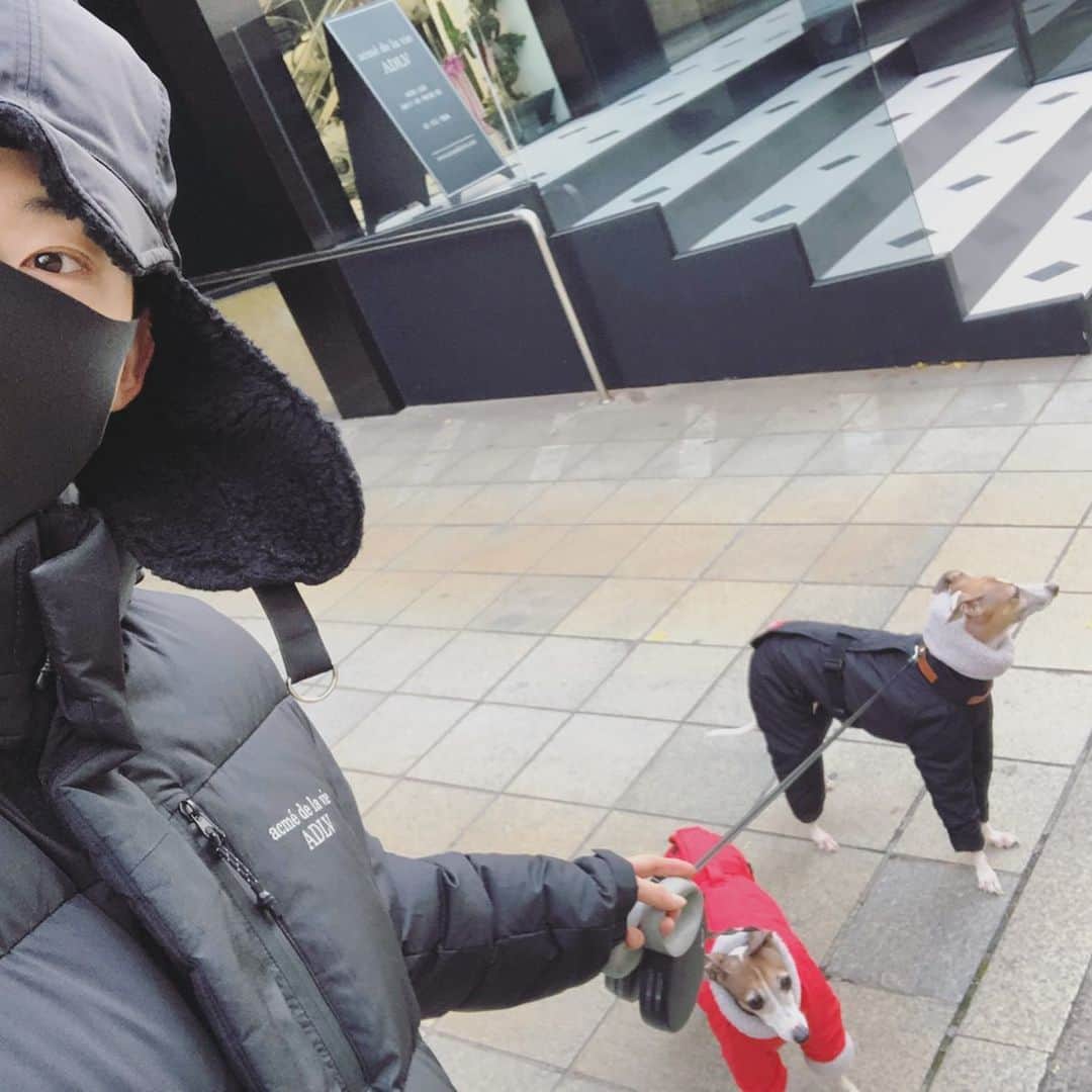 チョ・グォン さんのインスタグラム写真 - (チョ・グォン Instagram)「GAGA X BIEBER 근황🐶🍂 . . #아이쥐#이탈리안그레이하운드」12月2日 19時02分 - kwon_jo