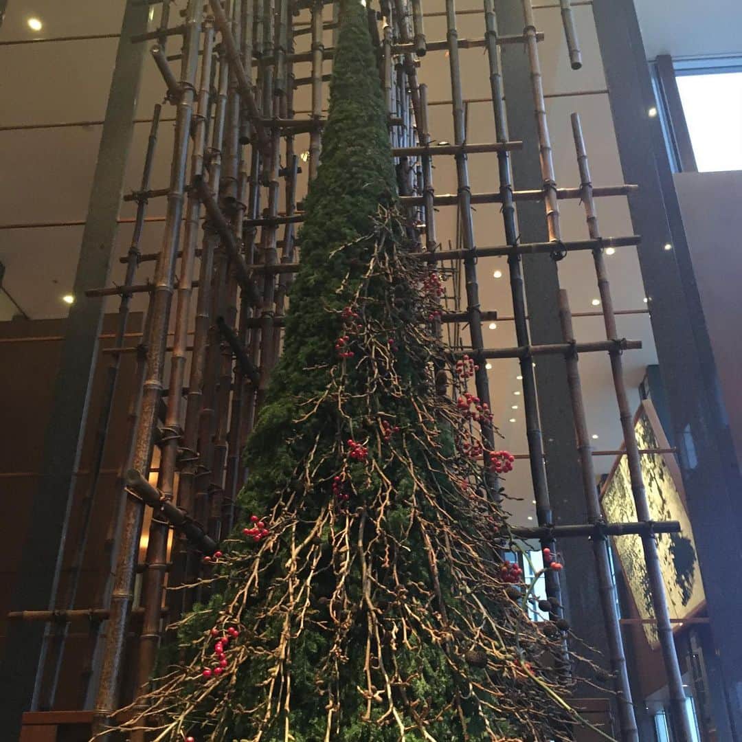 Park Hyatt Tokyo / パーク ハイアット東京さんのインスタグラム写真 - (Park Hyatt Tokyo / パーク ハイアット東京Instagram)「本日12/2（月）より#パークハイアット東京 も#クリスマス 仕様に。 深紅のタイでおめかししたガッツィーと多彩なクリスマスデコレーションが皆様をお迎えしております。  The Christmas spirit is in full swing at Park Hyatt Tokyo! We’ve even got a bowtie for Gutsy. Come and see our new festive holiday decorations! #christmas」12月2日 19時33分 - parkhyatttokyo
