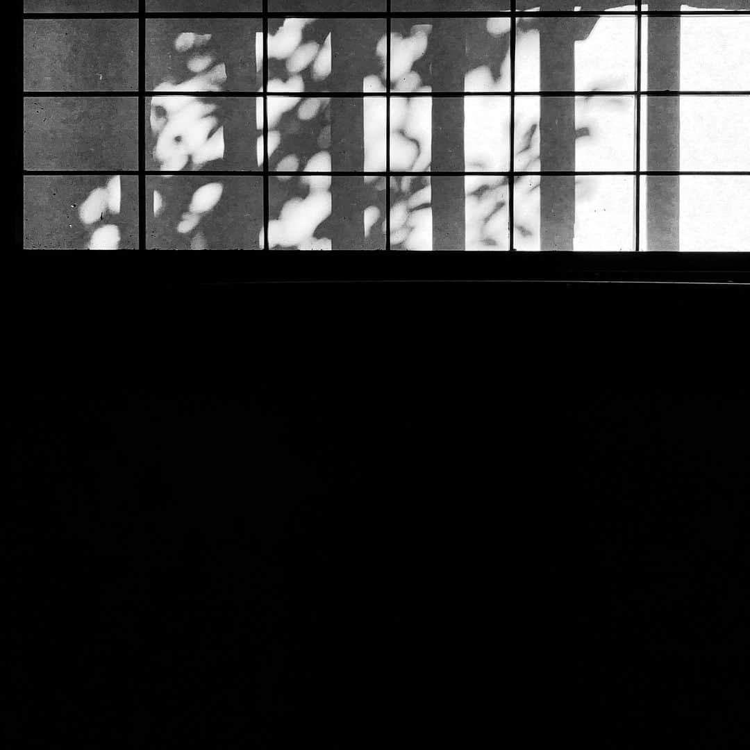 naotakeのインスタグラム：「影 - Silhouettes / iPhone XR + Snapseed, 20191203 . . . . #spicollective #royalsnappingartists #infamous_family #rsa_main #infinity_photo_cult #2_fineart #jp_gallery_member #jp_gallery_bnw #trb_bnw #wp_bnw  #bnw_life #bnwlife_member #bnw_life_shots #bnw_captures #world_bnw #top_bnw #team_jp_ #team_jp_モノクロ #ig_energy_bw #ig_nihon #streetphotographybnw #igersjp #blackandwhite #bnw #bnwphoto #monochrome #bw #bnwphotography #ShotOniPhone #asahi_photocon」