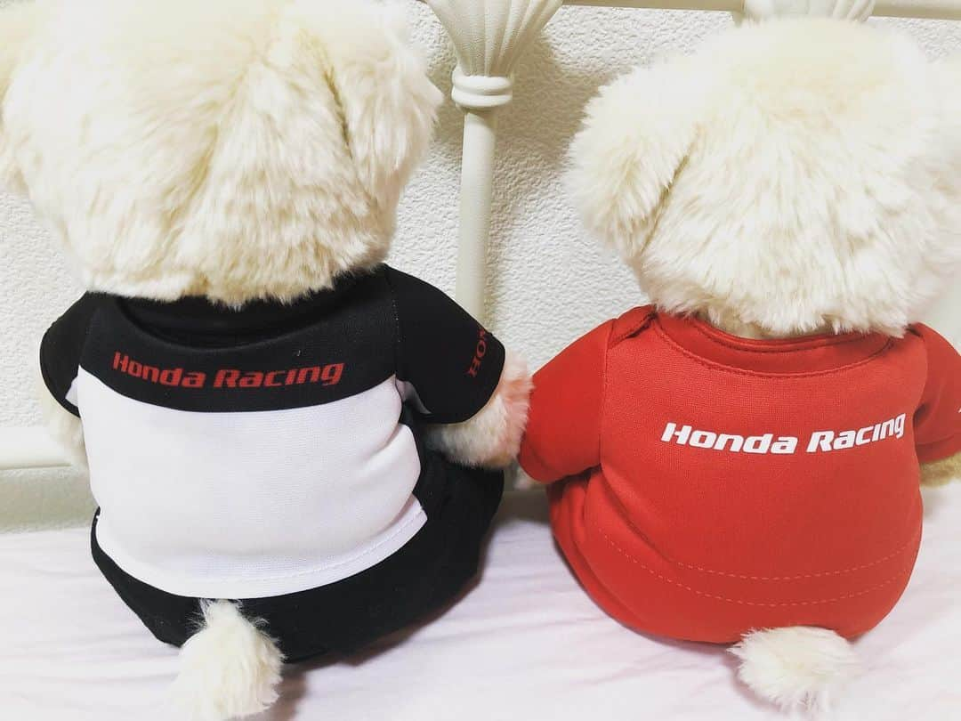 夏江花さんのインスタグラム写真 - (夏江花Instagram)「いつも応援してくださっている方から今年もHonda Racingテディベアをいただきました！ 昨年は右のドライバーベア、今年は左のメカニックベアが我が家にやってきました🧸🧸 細部まで凝ったお洋服👀 顔つきが1体1体違うのも愛くるしいね😍 素敵な贈り物をありがとうございます✨ #TEAMMUGEN #チーム無限 #HONDA #HONDARACING#本田技研工業 #NSX #モータースポーツ#HONDAベア#テディベア#熊さん#ぬいぐるみ #車好きな人と繋がりたい #SGT2019 #スーパーGT #SUPERGT#スーパーフォーミュラ#SUPERFORMULA#RQ#レースクィーン」12月2日 20時03分 - hananatsue