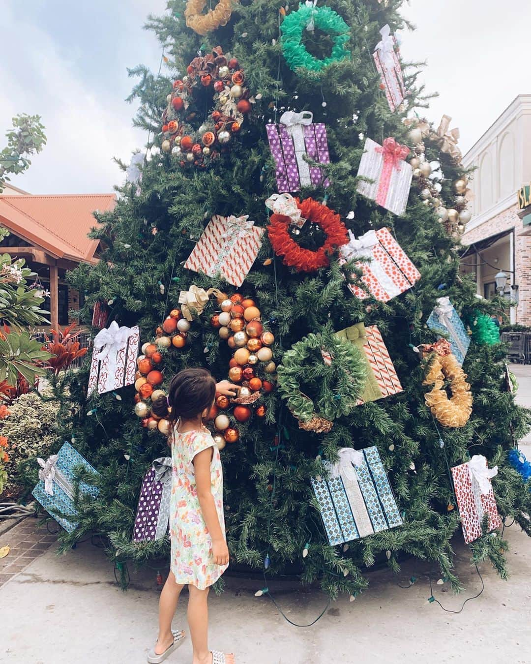 黒木なつみさんのインスタグラム写真 - (黒木なつみInstagram)「﻿ Hello December🎄🎅💚﻿ ﻿ 今回のハワイ旅行はThanksgiving﻿ Black fridayと行事が多くて結構混んでたけどあっという間にクリスマス一色になる感じも大好き🥰♥️﻿ ﻿ #familytrip﻿ #Christmas﻿ #Hawaii」12月2日 20時07分 - natsumi0086