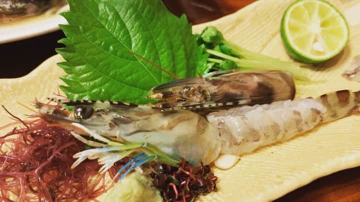 宮城麻里子のグルメインスタ