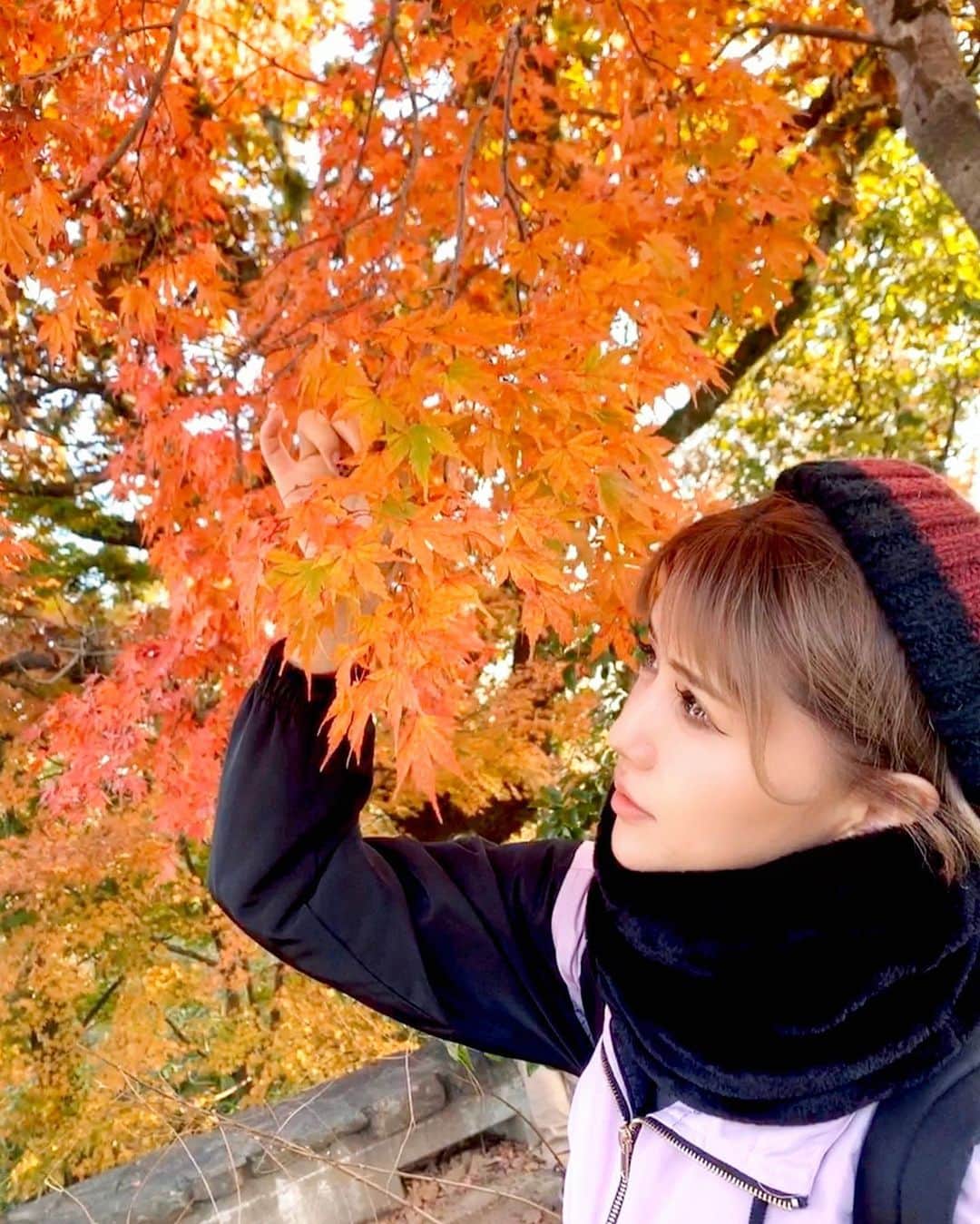 河西里音さんのインスタグラム写真 - (河西里音Instagram)「Rion × momiji 🍁 🍁 🍁 #一眼レフ #momiji  #takaozan #japanesegirl  #kouyou #mauntengirl」12月2日 20時55分 - rion_kasai