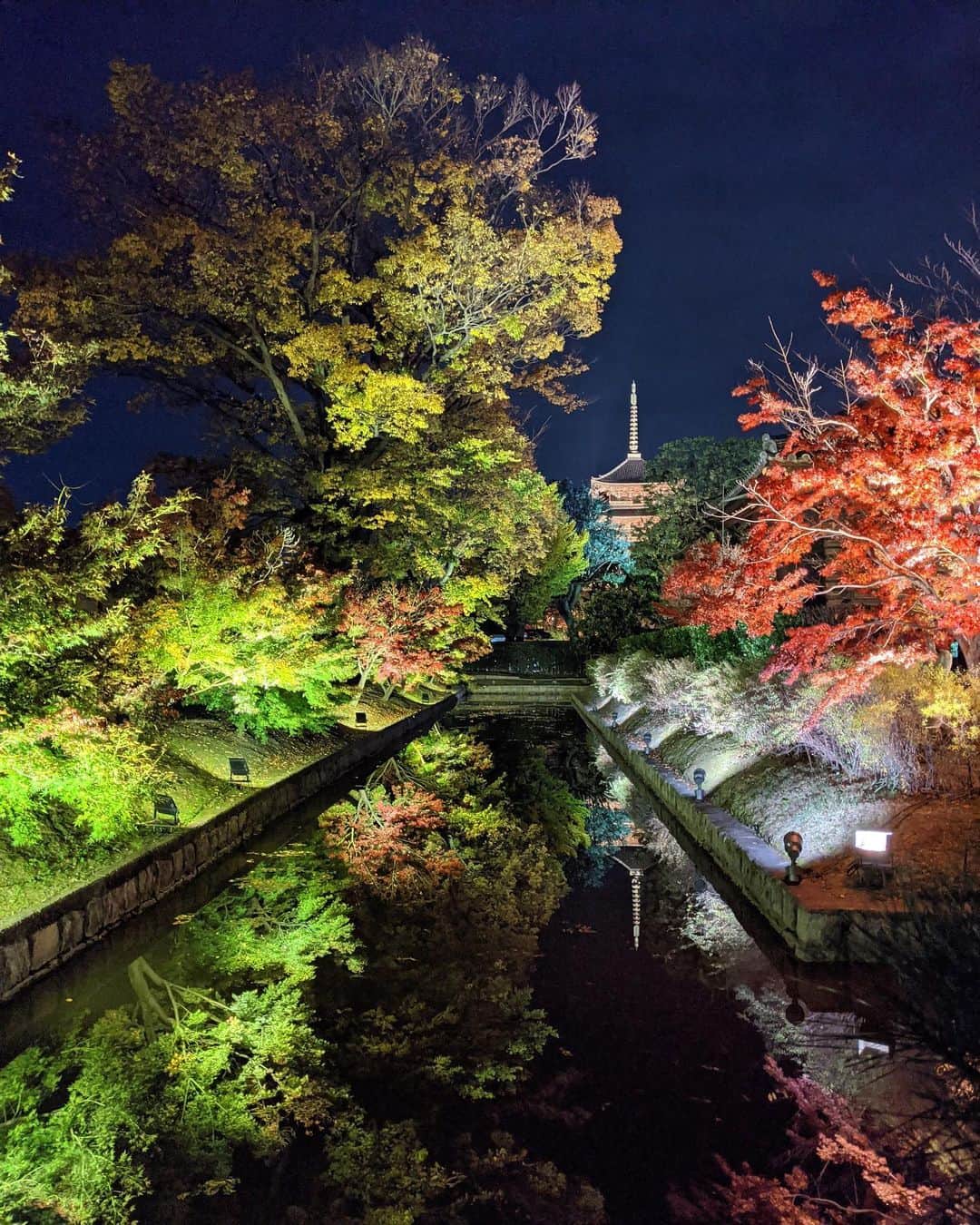 のインスタグラム：「いつも行くと 日本って最高って思う京都⛩🎍 歴史を勉強してこなかった自分を恨む😑 息子と一緒に勉強しようと 心決めた旅行でした！！ そして、改めて四季っていいね🍁 海外もいいけど 色んな景色が楽しめる日本って最高だ☺️ #japan #日本 #京都 #そうだ京都行こう  #家族旅行 #東寺 #宝筐院 #嵐山 #googlepixel4  #夜景モード」