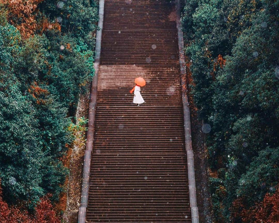 wacameraのインスタグラム：「Actually this is natural color of the last post this place.😂 #伏見桃山陵 #伏見桃山御陵  1週間の間で三回も足を運んでしまったこの場所。これが本来の姿です。 いつかここで真っ白な5人に段違いで立ってもらいたいなー。なんて思ってます。そして次は雪が降ったらすっ飛んでこよう。そのくらい気に入ってしまった(*ˊᵕˋ*)」