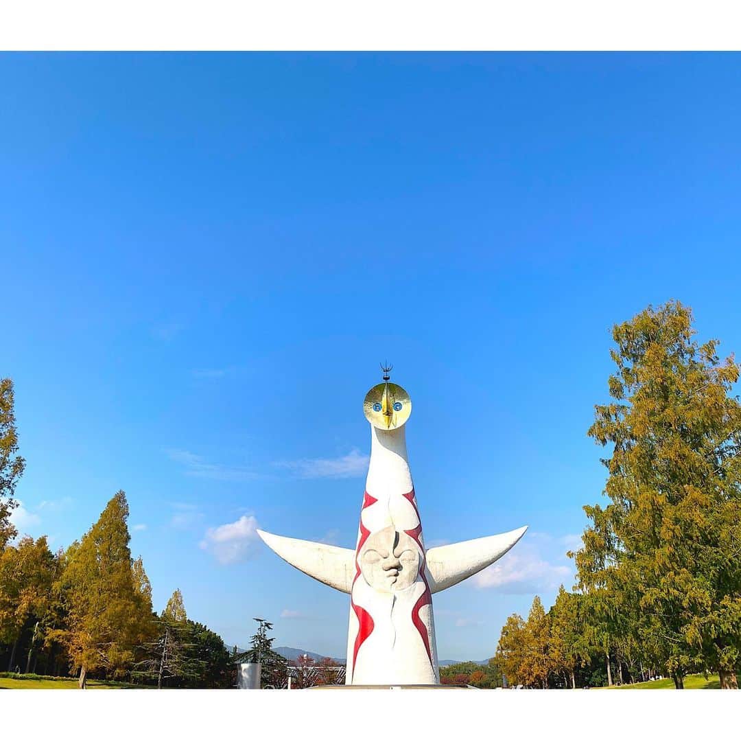 Yasuji Narutoさんのインスタグラム写真 - (Yasuji NarutoInstagram)「2019.11.16 LOHAS Festa  快晴！暖かい！昼寝最高！  って事で満喫してきました。  写真たくさん撮ったけど、  心の中に閉っときます。  楽しかった！！」12月2日 22時14分 - norosuke