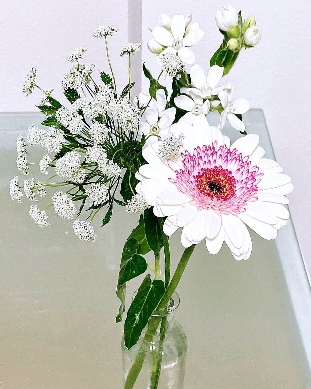 大槻瞳さんのインスタグラム写真 - (大槻瞳Instagram)「冬の白、好き。  #homeflowers#love#myhealing」12月2日 22時22分 - hitomi_otsuki_55