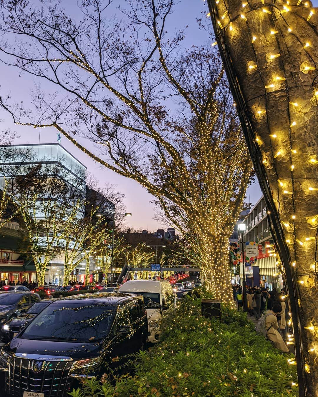 のインスタグラム：「Omotesando Tokyo  表参道イルミネーション #pixelで撮影　 #googlepixel #googleのスマホ #表参道 #tokyonightview #Tokyo #イルミネーション」