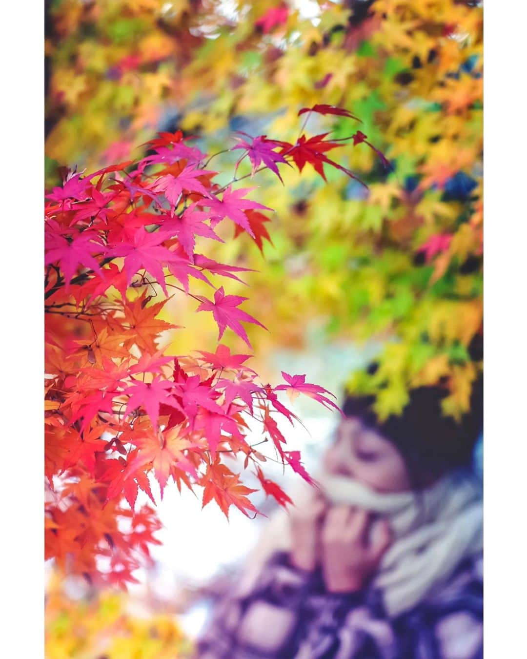 メグのん♡ A k i k oさんのインスタグラム写真 - (メグのん♡ A k i k oInstagram)「♡Late autumn adds color to loneliness . . . 12月です。 . やり残しがないよう過ごそう！ . と、毎年思うけど やり遂げれたことがないので 気楽に師走を楽しもうと思います♩ . . . ♡」12月2日 22時41分 - meg_and_non