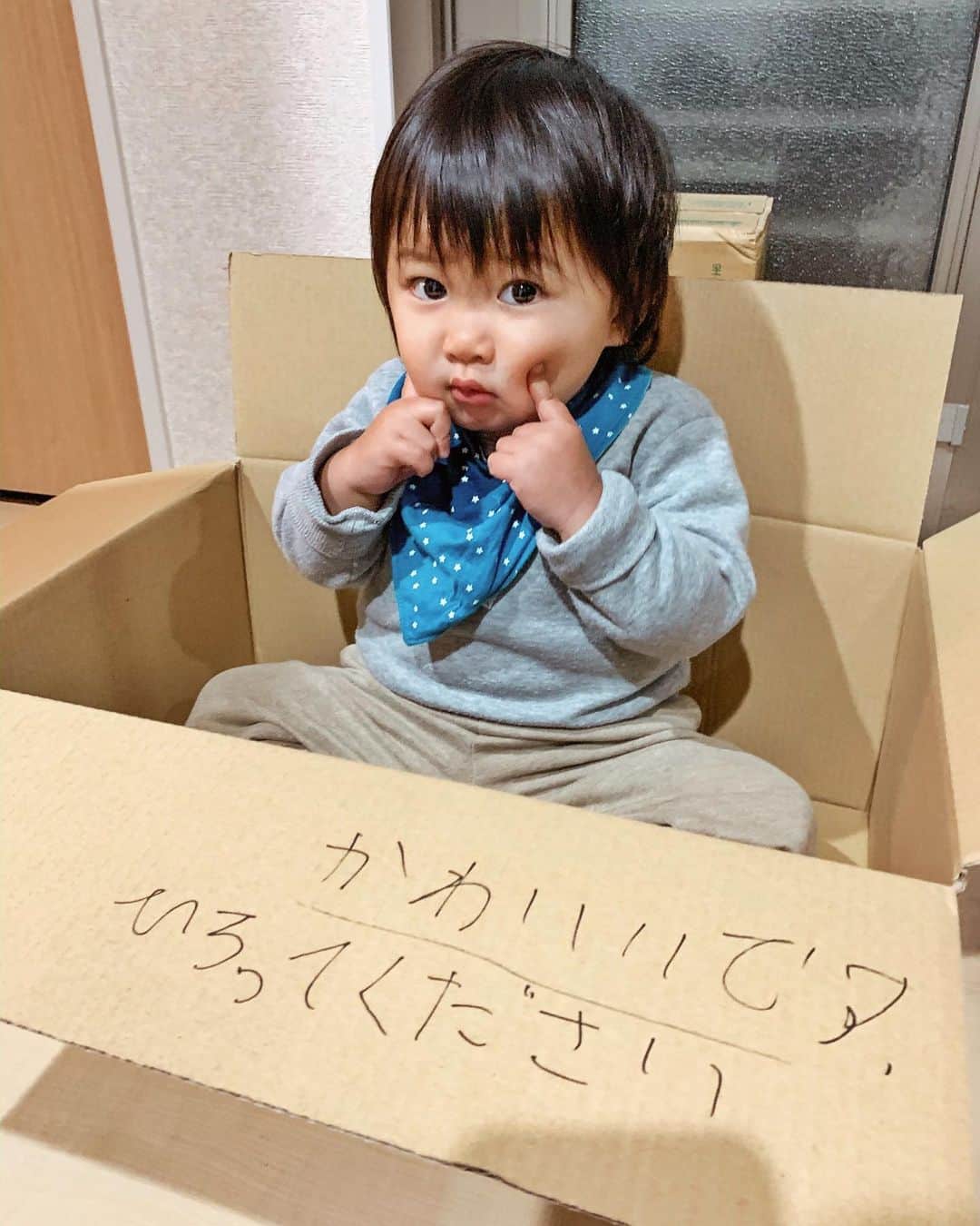 新井ニーニャのインスタグラム：「🧒🏻﻿ ﻿ 料理中のママの元へ荷物が届きました﻿ ﻿ ﻿ ﻿ これが噂の﻿ ﻿ あ ざ と か わ い い﻿ ﻿ ﻿ ﻿ ﻿ #段ボール大好き﻿ #すぐ入る﻿ #にいに達はすかさず書く﻿ #かわいいですひろってください﻿ #愛があるね﻿ ﻿ ﻿ ﻿ #1歳ベビー #末っ子 #男の子ベビー #男三兄弟 #男三兄弟末っ子 #愛されキャラ #あざとかわいい #あざとかわいいベビー #もはやベビーではない」