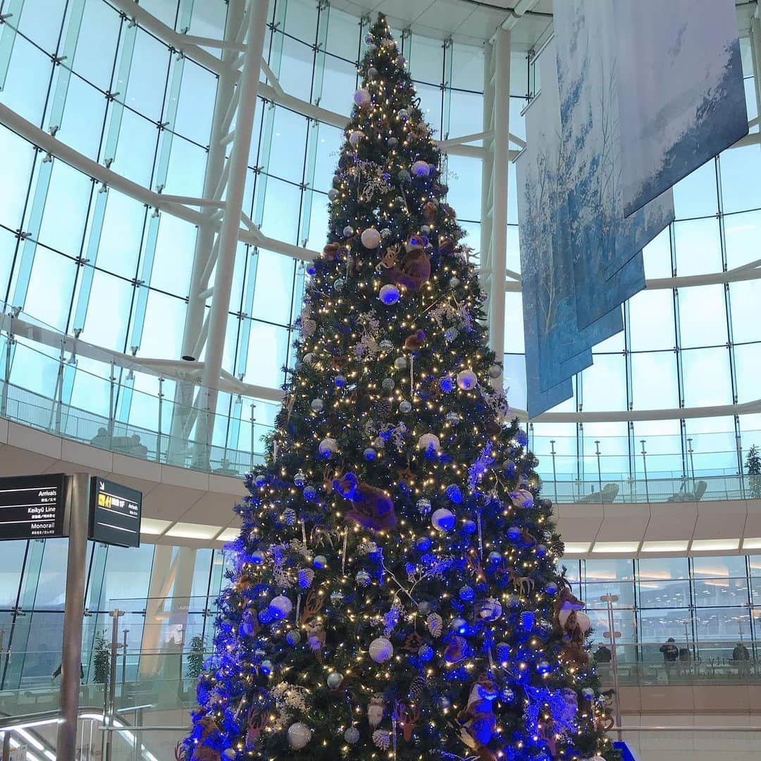 なかやまちえこさんのインスタグラム写真 - (なかやまちえこInstagram)「明日は沖縄セミナー🌴⠀ ご予約いただいてる方々ありがとうございます😊お会いできるの楽しみにしてます✨✨✨💫⠀ よろしくお願い致します😌🙏🙏✨ #沖縄 #シーサー #羽田空港 の#クリスマスツリー がどうぶつのぬいぐるみが飾られていて可愛かった😳😳😳」12月2日 23時05分 - chiekonakayama